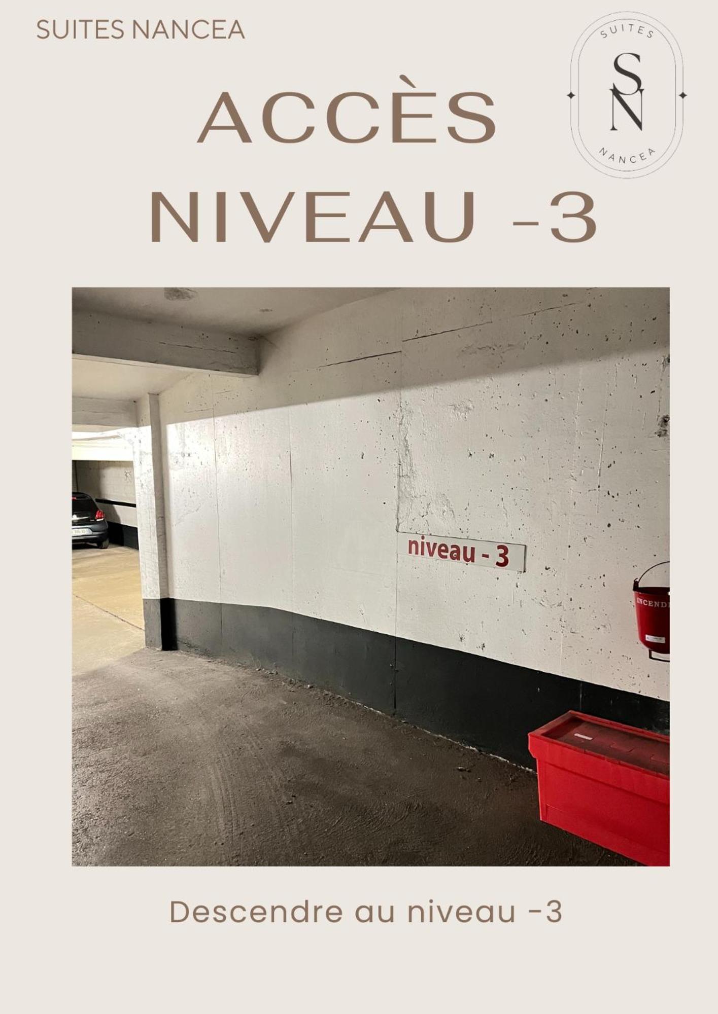 Vue Sur Le Palais - Nancy Gare Congres - Parking - T3 Apartment Bagian luar foto